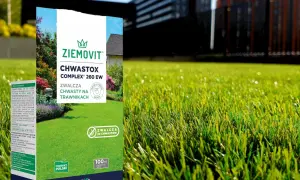 Chwastox Complex 260 EW dawkowanie: opakowanie środka do zwalczania chwastów na trawnikach, na tle zielonej trawy i budynków.