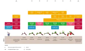 Tabela opryski drzew owocowych: od wczesnej wiosny do jesieni, z uwzględnieniem faz rozwoju roślin i stosowanych preparatów.