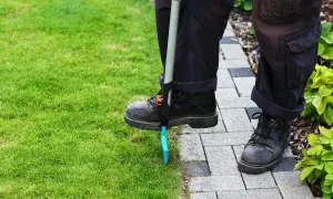 Osoba przycina trawę przy ścieżce. Dylemat: pierwsze koszenie trawy z koszem czy bez?