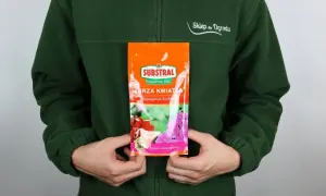 Opakowanie nawozu Substral Burza Kwiatów z pelargoniami, trzymane przez osobę w zielonej bluzie.