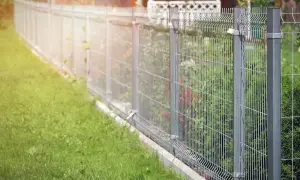 Solidne, metalowe ogrodzenie panelowe to świetny pomysł na tanie ogrodzenie działki. Widać zieloną trawę i krzewy za siatką.