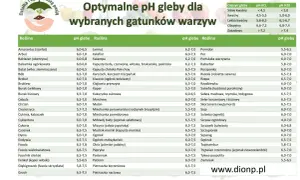 Tabela optymalnego pH gleby dla wybranych gatunków warzyw. Znajdziesz tu informacje o preferowanym odczynie gleby dla pomidorów, ogórków i wielu innych roślin.