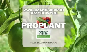 Proplant 722 SL jak stosować? Oprysk na pomidory i ogórki, zwalcza choroby grzybowe. Długo działa, chroni i zwalcza.