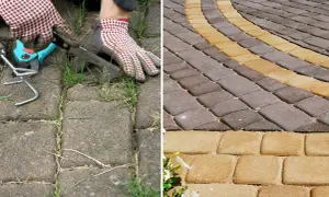Przed: chwasty w kostce brukowej. Po: czysta kostka brukowa. Ocet na chwasty w kostce brukowej działa cuda!