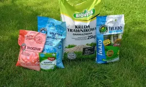Siarczan amonu na trawnik i inne nawozy ogrodnicze: mocznik, kreda, żelazo. Wszystko dla pięknego ogrodu.