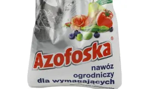 Azofoska to nawóz ogrodniczy dla wymagających roślin, idealny do kwiatów, owoców i warzyw. Nie stosować do roślin wrażliwych na wysokie stężenie soli.