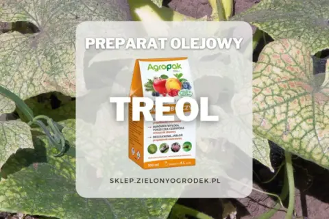 Preparat olejowy Treol 770 EC chroni rośliny przed szkodnikami. Opakowanie z jabłkami i jagodami.