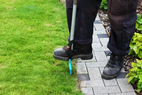 Osoba przycina trawę przy ścieżce. Dylemat: pierwsze koszenie trawy z koszem czy bez?