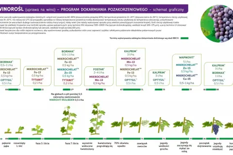 Schemat dokarmiania winorośli dolistnego wg skali BBCH: od pękania pąka (09) do końca dojrzewania pędów (91).