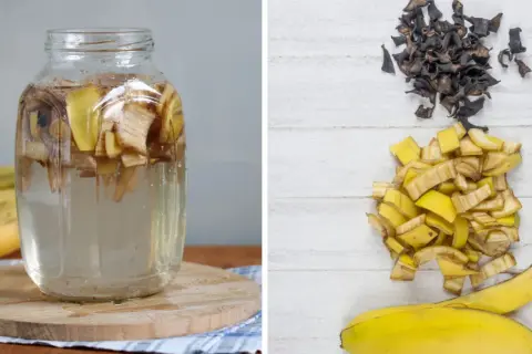 Słoik z wodą i kawałkami bananów, obok stosy skórek. To domowy nawóz z banana dla roślin.