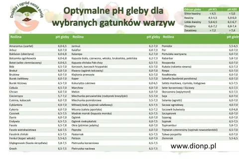 Tabela optymalnego pH gleby dla wybranych gatunków warzyw. Znajdziesz tu informacje o preferowanym odczynie gleby dla pomidorów, ogórków i wielu innych roślin.