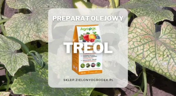Preparat olejowy Treol 770 EC chroni rośliny przed szkodnikami. Opakowanie z jabłkami i jagodami.