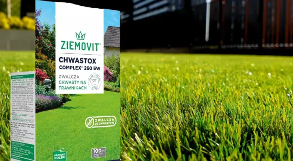 Chwastox Complex 260 EW dawkowanie: opakowanie środka do zwalczania chwastów na trawnikach, na tle zielonej trawy i budynków.