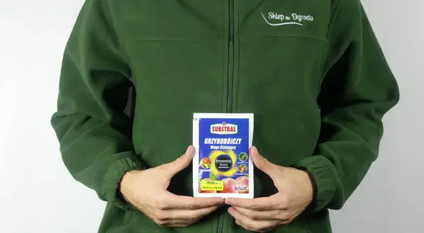 Osoba w zielonej bluzie trzyma opakowanie środka grzybobójczego SYLLIT 65 WP. Produkt przeznaczony jest do ochrony drzew owocowych.