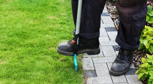 Osoba przycina trawę przy ścieżce. Dylemat: pierwsze koszenie trawy z koszem czy bez?