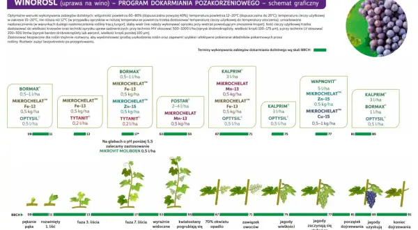 Schemat dokarmiania winorośli dolistnego wg skali BBCH: od pękania pąka (09) do końca dojrzewania pędów (91).