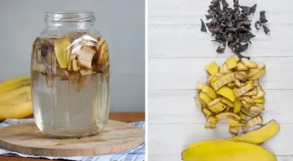 Słoik z wodą i kawałkami bananów, obok stosy skórek. To domowy nawóz z banana dla roślin.
