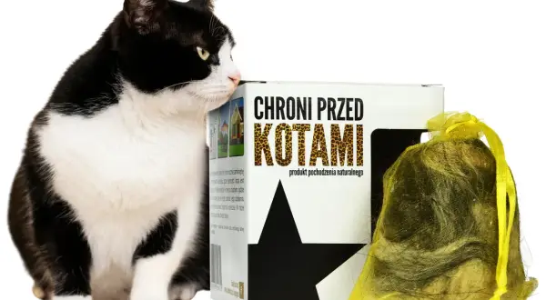 Czarno-biały kot przygląda się opakowaniu z napisem "Chroni przed kotami". Obok woreczek z naturalnymi roślinami odstraszającymi koty.