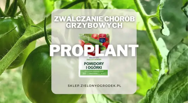 Proplant 722 SL jak stosować? Oprysk na pomidory i ogórki, zwalcza choroby grzybowe. Długo działa, chroni i zwalcza.
