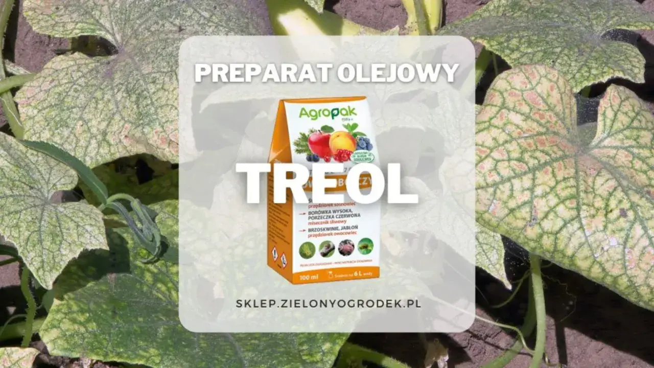 Preparat olejowy Treol 770 EC chroni rośliny przed szkodnikami. Opakowanie z jabłkami i jagodami.