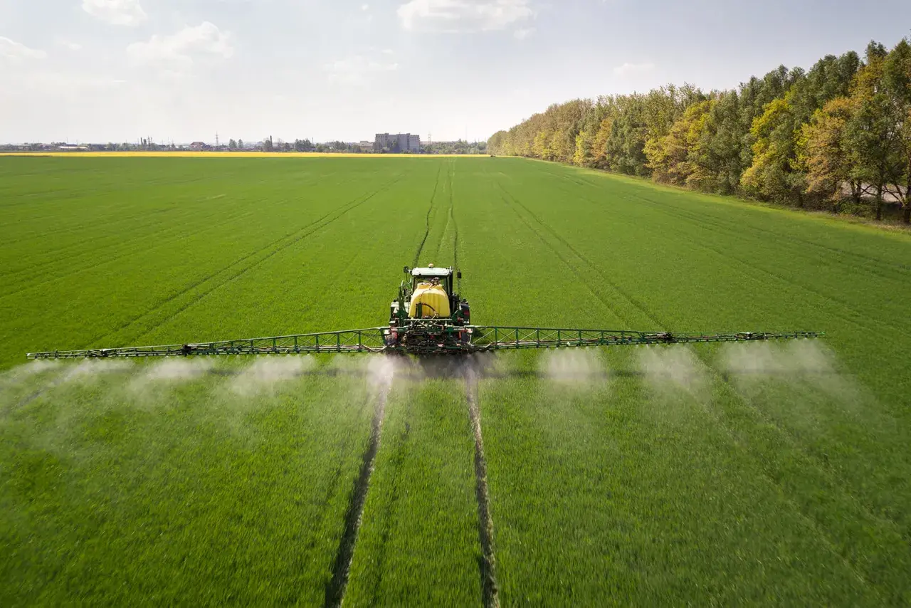 Traktor opryskuje zielone pole, rozpylając płyn. To nie jest adblue na trawnik, lecz środek ochrony roślin.