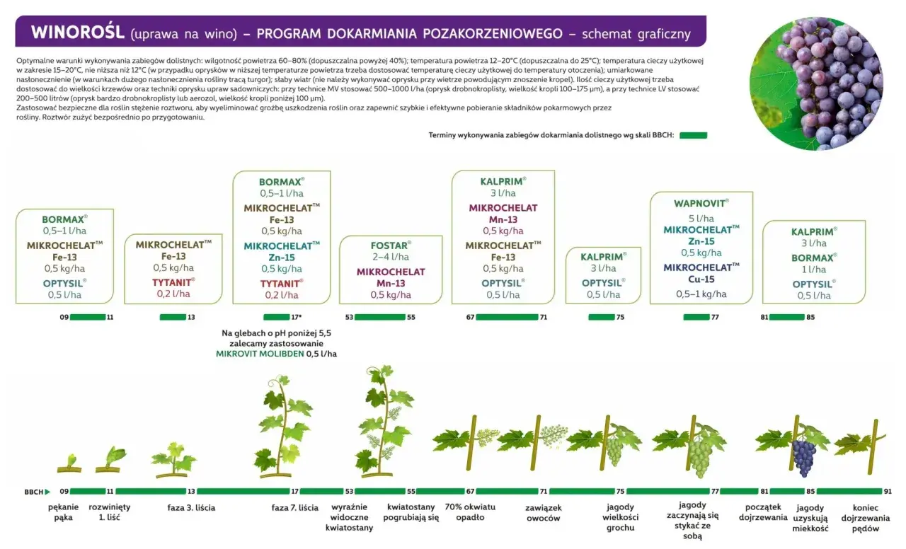 Schemat dokarmiania winorośli dolistnego wg skali BBCH: od pękania pąka (09) do końca dojrzewania pędów (91).