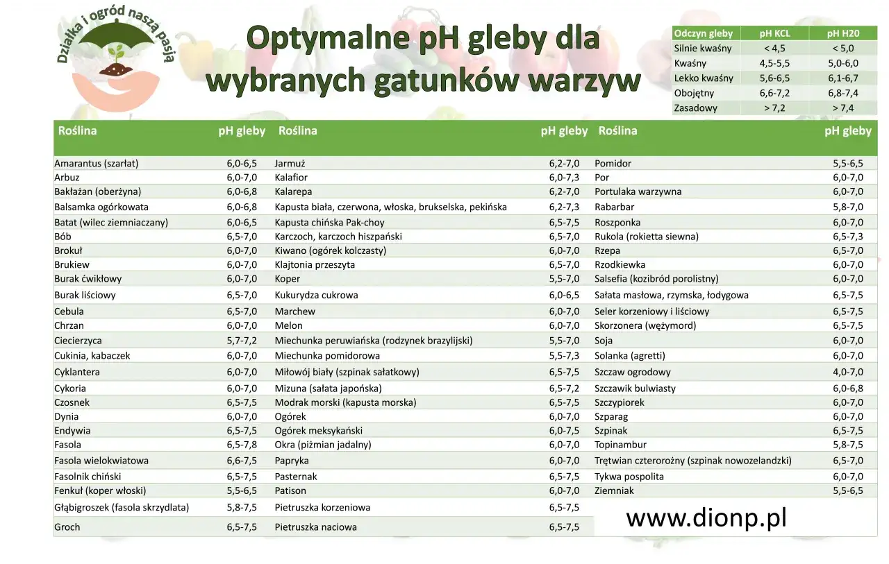 Tabela optymalnego pH gleby dla wybranych gatunków warzyw. Znajdziesz tu informacje o preferowanym odczynie gleby dla pomidorów, ogórków i wielu innych roślin.