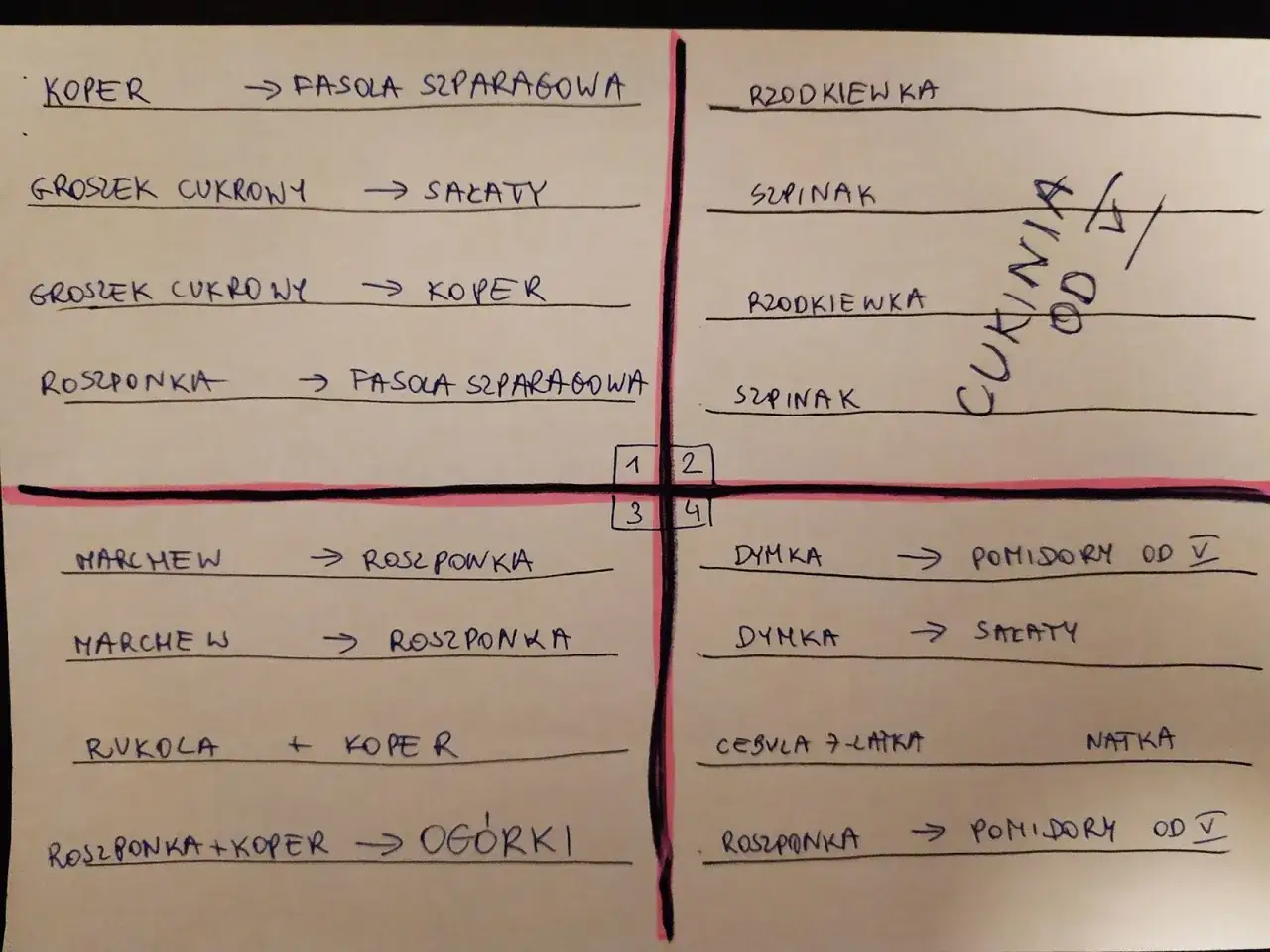 Plan ogr&oacute;dka warzywnego dla początkujących: koper, fasola szparagowa, rzodkiewka, groszek, sałaty, szpinak, marchew, pomidory.