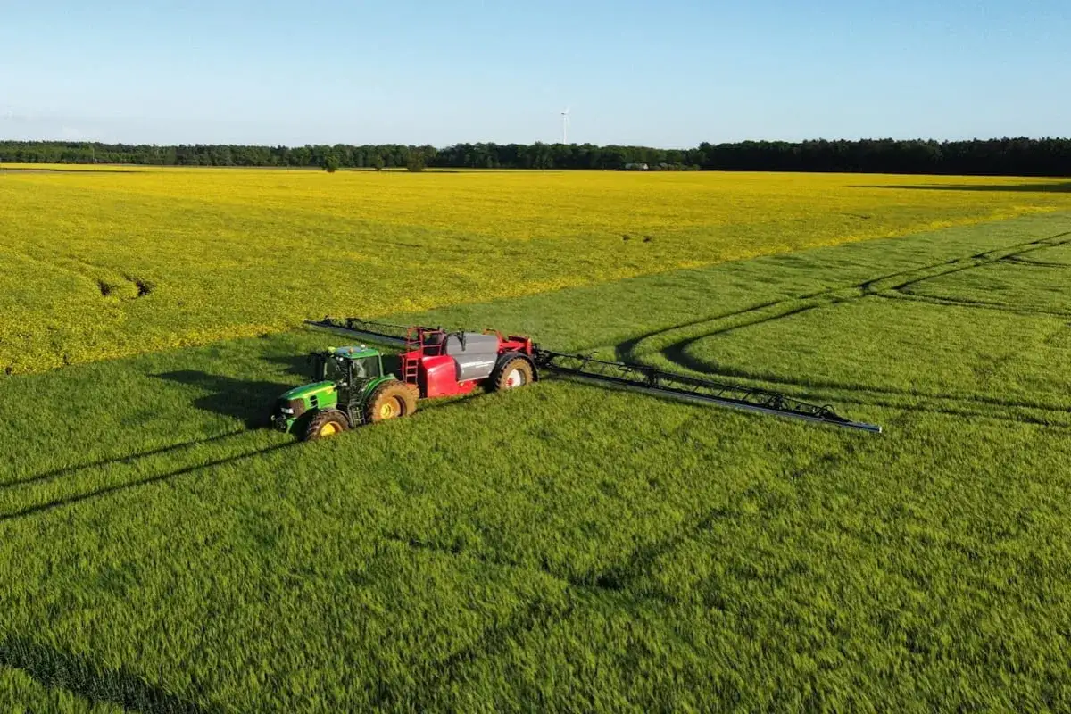 Zielony traktor z opryskiwaczem wjeżdża na pole rzepaku, by zastosować mocznik do oprysku.