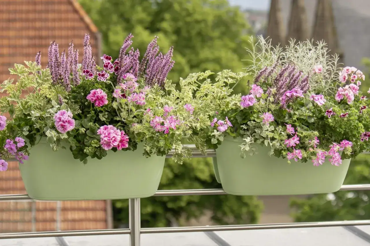 Dwa zielone kwietniki z pelargoniami i innymi kwiatami, tworzące barwne kompozycje. Idealne wypełniacze do pelargonii na balkon.
