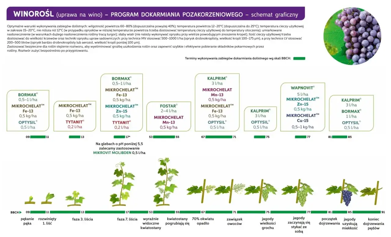 Schemat dokarmiania winorośli: terminy zabiegów dolistnych wg skali BBCH, od pękania pąka do dojrzewania jagód.
