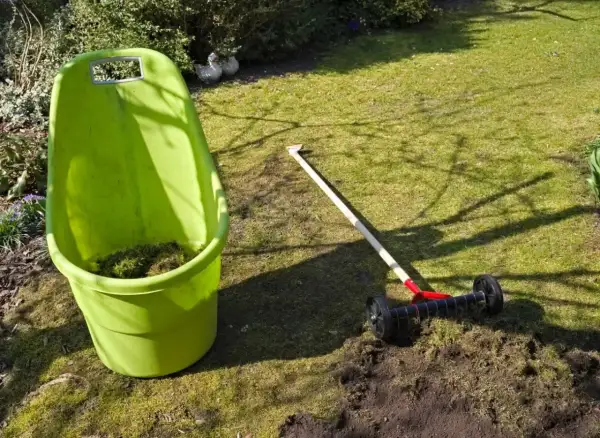 Zielony wózek na odpady ogrodowe i aerator do trawnika, gotowe do pracy. Siarczan żelaza na mech pomoże w pielęgnacji trawnika.