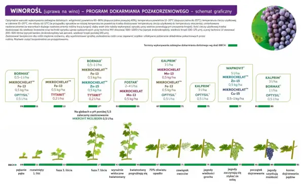 Schemat dokarmiania winorośli dolistnego wg skali BBCH: od pękania pąka (09) do końca dojrzewania pędów (91).