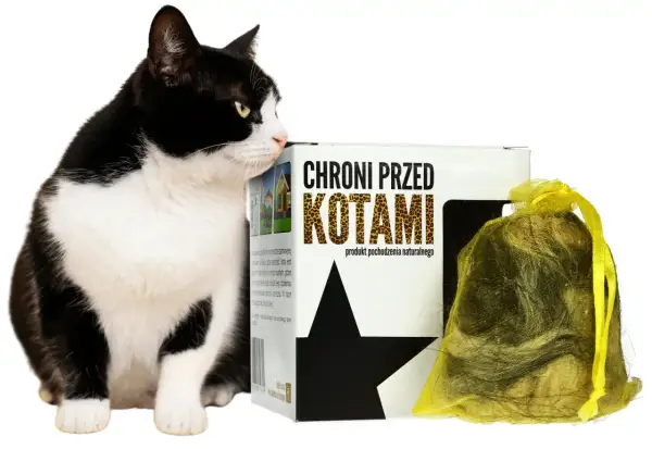 Czarno-biały kot przygląda się opakowaniu z napisem "Chroni przed kotami". Obok woreczek z naturalnymi roślinami odstraszającymi koty.
