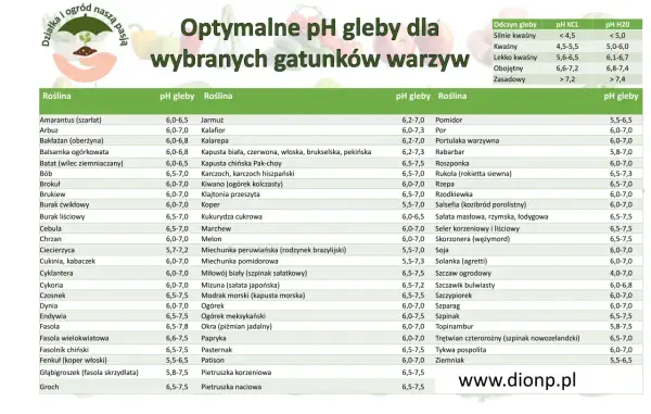 Tabela optymalnego pH gleby dla wybranych gatunków warzyw. Znajdziesz tu informacje o preferowanym odczynie gleby dla pomidorów, ogórków i wielu innych roślin.