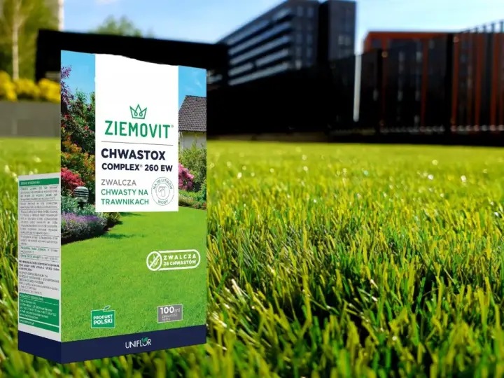 Chwastox Complex 260 EW na trawnik - Dawkowanie i błędy!